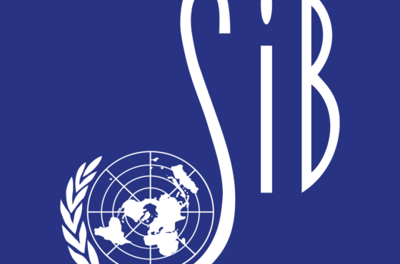 Studentenvereniging voor Internationale Betrekkingen Leiden (SIB/DUNSA), Dutch United Nations Student Association